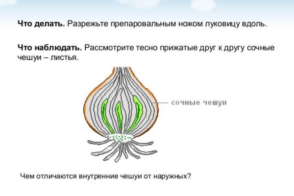 Биткоин кошелек для оплаты на блэкспрут