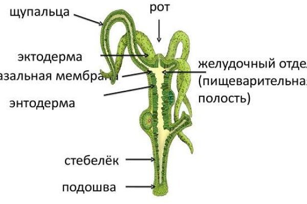 Ссылка на kraken тор