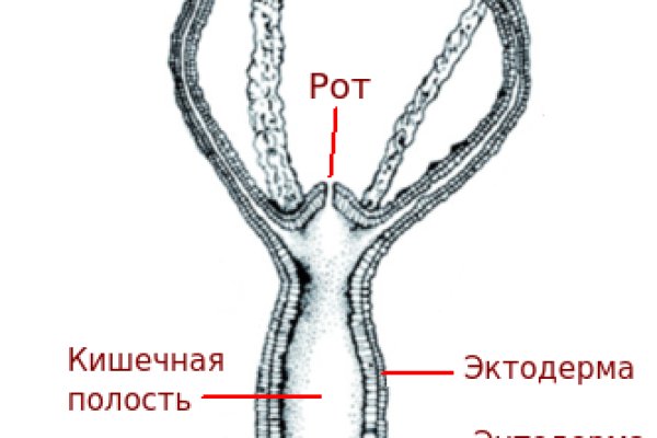 Аккаунты omg