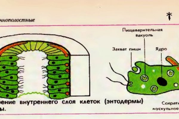 Омг тор